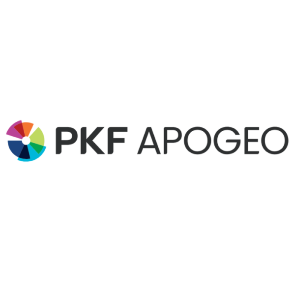 PKF APOGEO - Marketing Assistant