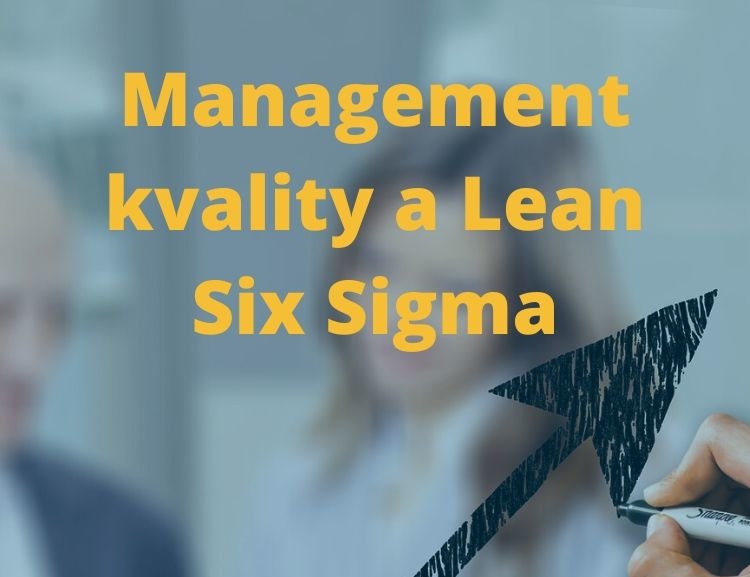 Vedlejší specializace Management kvality a Lean Six Sigma