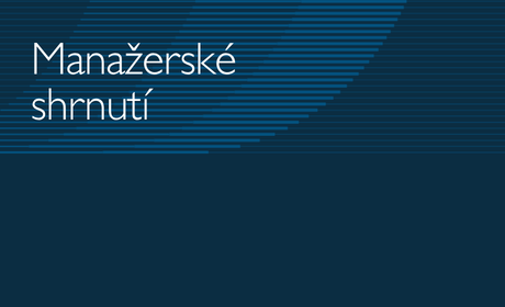 Manažerské shrnutí studie „Institucionalizace portfoliového podnikání: model Venture Studio“