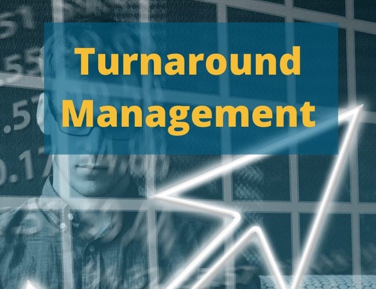 Vedlejší specializace Turnaround Management
