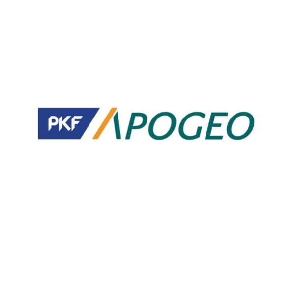 PKF APOGEO - Junior konzultant/ka v Auditu
