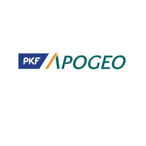 PKF APOGEO - Social Media Specialist 