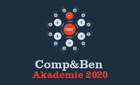Vzdělávací program Comp&Ben Akademie na téma: Strategie odměňování a komplexní mapa oblasti
